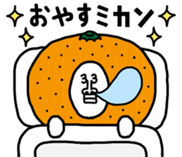 161269291