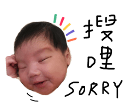 161341293