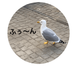 161359028