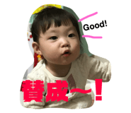 161395743