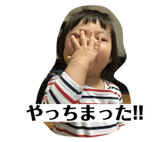 161395766