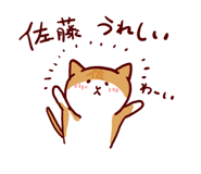 16144720