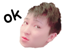 161520914