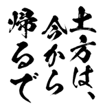 161533613