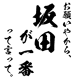 161535567