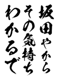 161535574