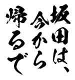 161535581