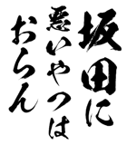 161535585