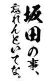 161535593