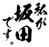 161535594