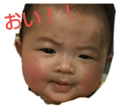 161543340
