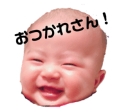 161577287