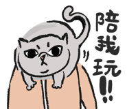 161605179