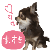161633181