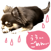 161633193