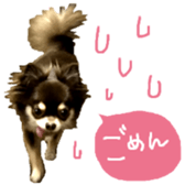 161633197