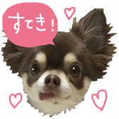 161633201