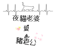 161646419