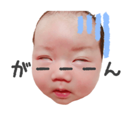 161675683