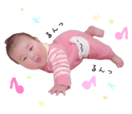 161675688