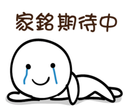 161762431