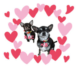 161795367