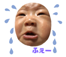 161815342