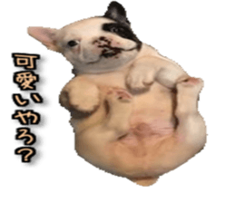 16191776