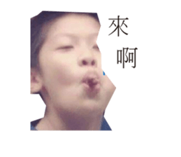 161951833