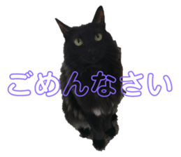 162045117