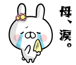 16205070