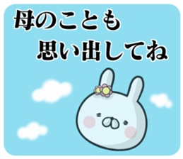 16205088