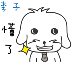 162051845