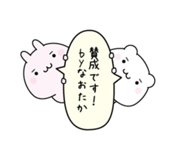 162087504