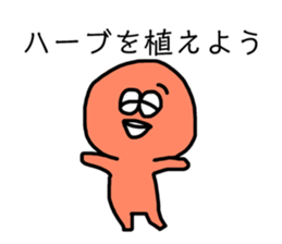 162133661