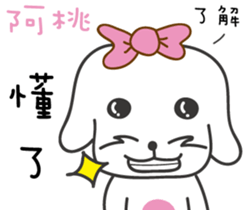 162222573