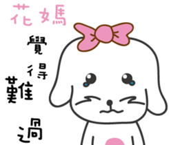 162233151
