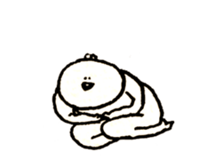 16225258