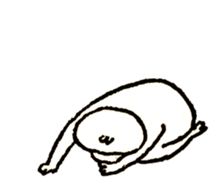 16225260