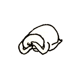 16225261