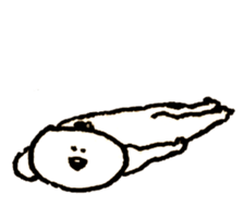 16225271