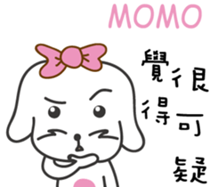 162269256