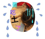 162302679