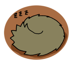 1623056