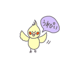 162323580