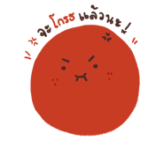 162325462