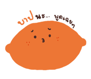 162325463