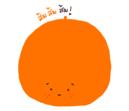 162325481