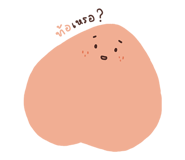 162325482