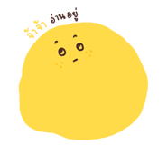 162325484